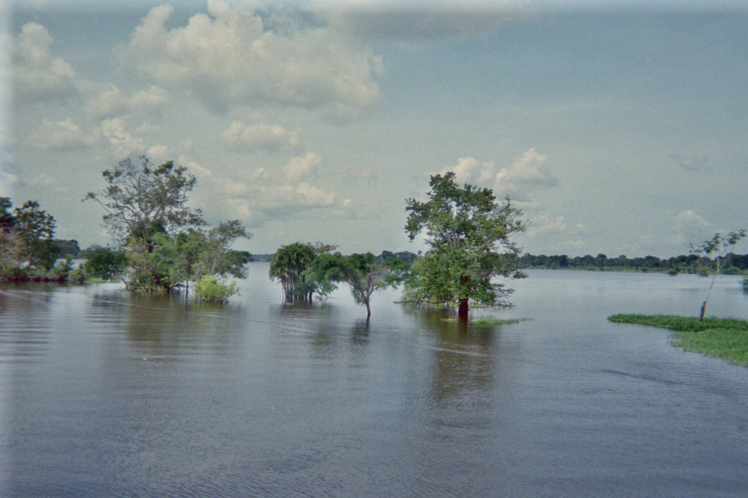 Flooded area